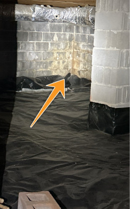 Water Staining At Foundation