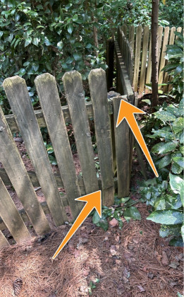 Fence Damaged