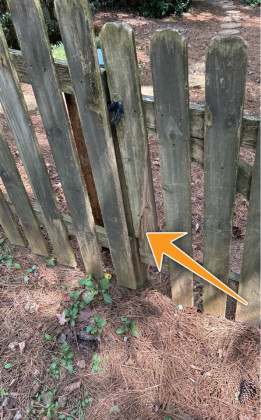 Fence Damaged