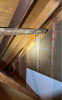Microbial Growth Noted In Attic