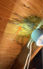 Water Stains Noted - Dry At Inspection