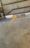 Repair Weatherstripping
