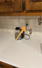 Loose Outlet