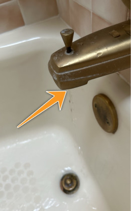 Shower Diverter Needs Repair