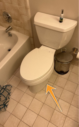 Toilet Loose