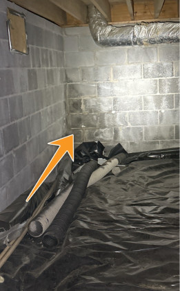Water Staining At Foundation