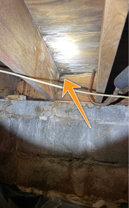 Water Damage / Rot Noted - Repair