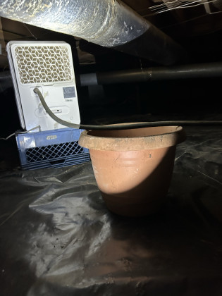 Dehumidifier Inoperative