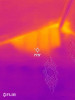 Thermal Imaging Performed